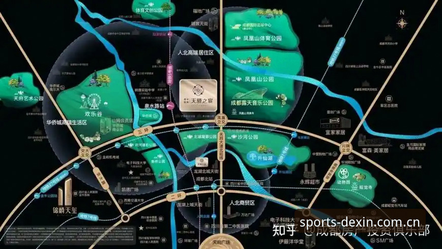 德信体育平台使用教程深度分析：从注册到高阶玩法的全面解析